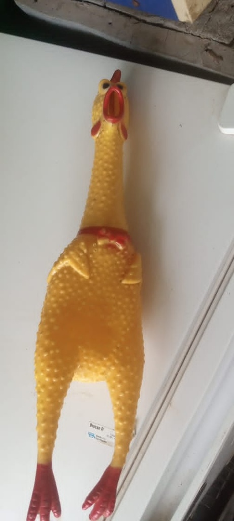 Chicken Dog toy