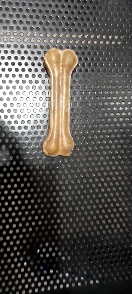 Toy bone