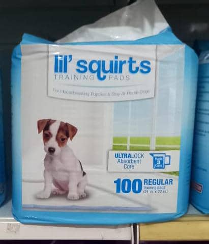 Training pad regular