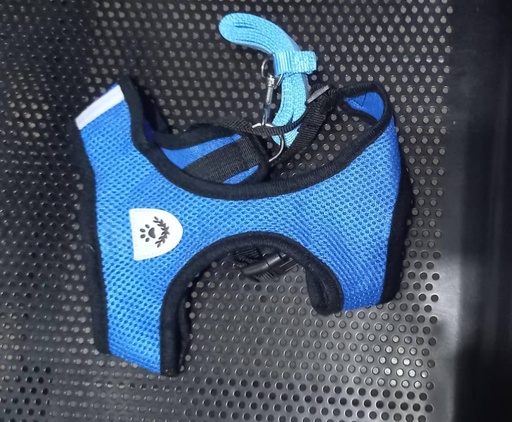 Dog harness small breeds