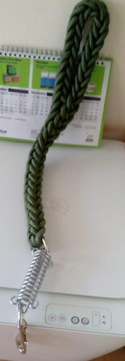 Dog rope leash with chain