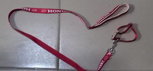 Puppy dog leash with collar